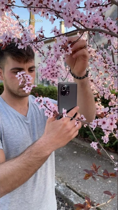 Phone transition with Flowers ๐ธ #transition #flowers #shorts