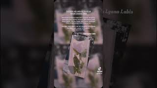 Download Lagu Ceritakan aku seburuk-buruknya sampai amalmu habis MP3