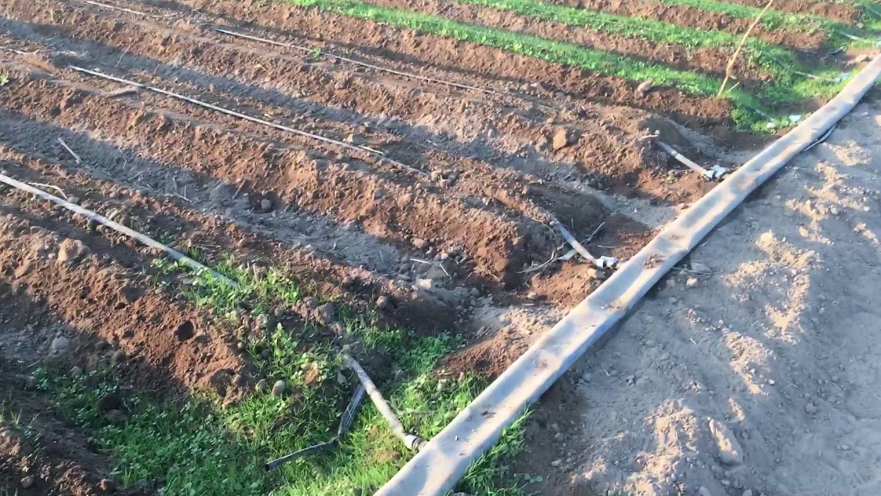 LAY FLAT IRRIGATION SYSTEM IS THE MOST AFFORDABLE METHOD FOR SMALL