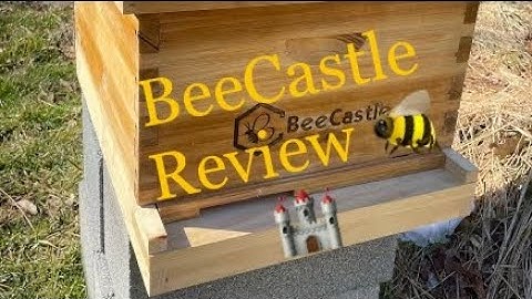 BeeCastle Hive Unboxing 🏰🐝