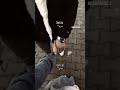 ام رم عمري