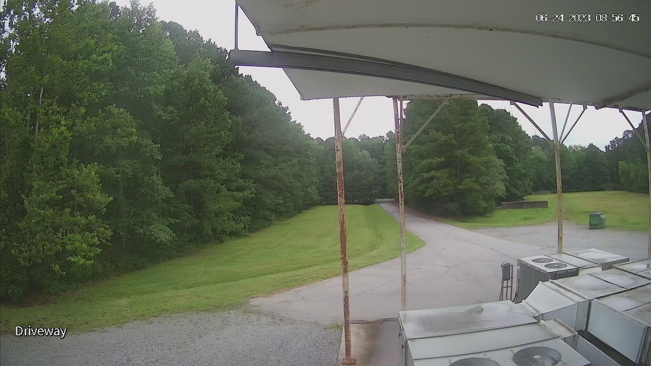 Black Bear spotted on WAVY's studio property in Suffolk