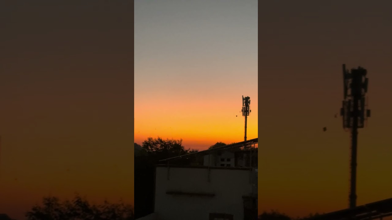 Beautiful sunset videos 