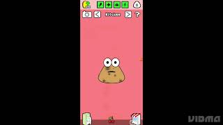 Pou Video Evolution Ll