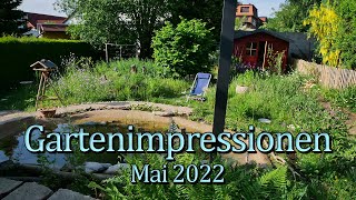 Gartenimpressionen Mai 2022