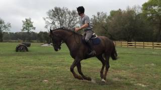 Ivanhoe X country