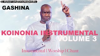 GASHINA - APOSTLE JOSHUA SELMAN WORSHIP INSTRUMENTAL (KAE STRINGS)