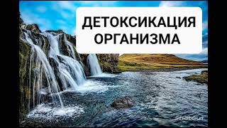 Очищение организма от вредных бактерий и токсинов. Медитация с бинауральными ритмами. Самоисцеление.