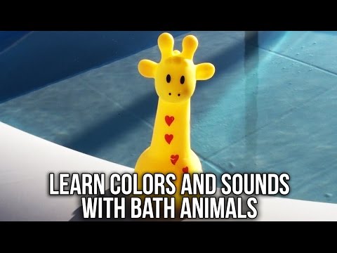 Learn Animals, Colors and Sounds With Squeaky Floating Bath Animals Toys