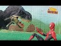 Arex e vastatore  lo scontro con spiderman  clip dinosauri detective