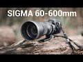 SIGMA 60-600MM WILDLIFE REVOLUTIONIERT? REVIEW [deutsch] SILVIO OESER