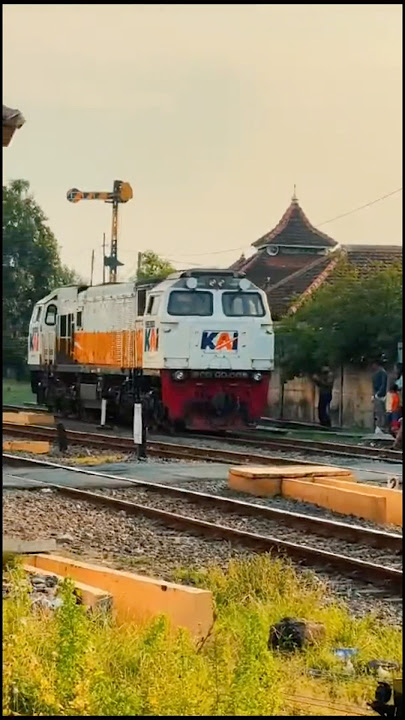 Kereta Api Bogel #shortvideo #funny
