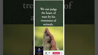 Kindness Reveals the True Heart#Kindness #RespectAnimals #Humanity #Compassion #BeKind