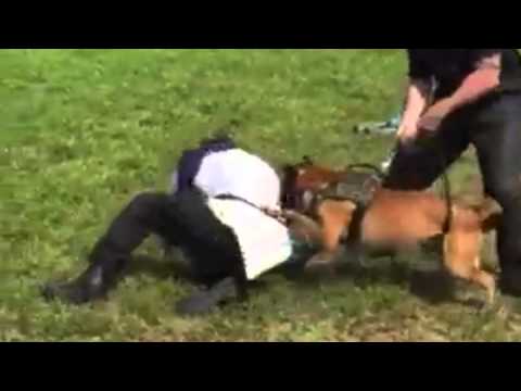 Explosive Muzzles!!!