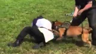 Explosive Muzzles!!!