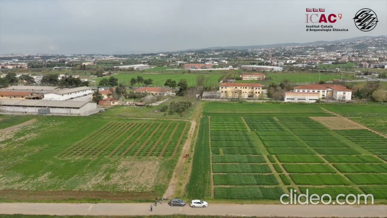 Drone flights over our thriving crops at Thermi (Greece).