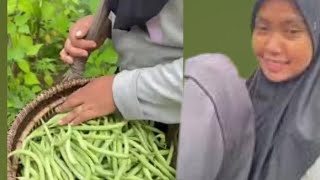 Vidio singkat aku.Kegiatan hari demi hari#triyani