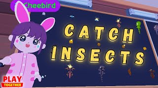 TIPS for CATCHING INSECTS (Part 1) (Play Together Game)