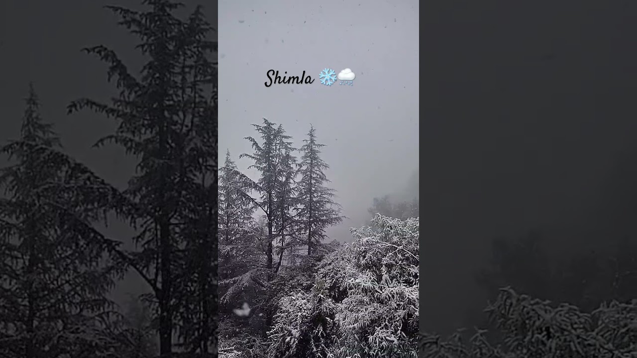 Snowfall 