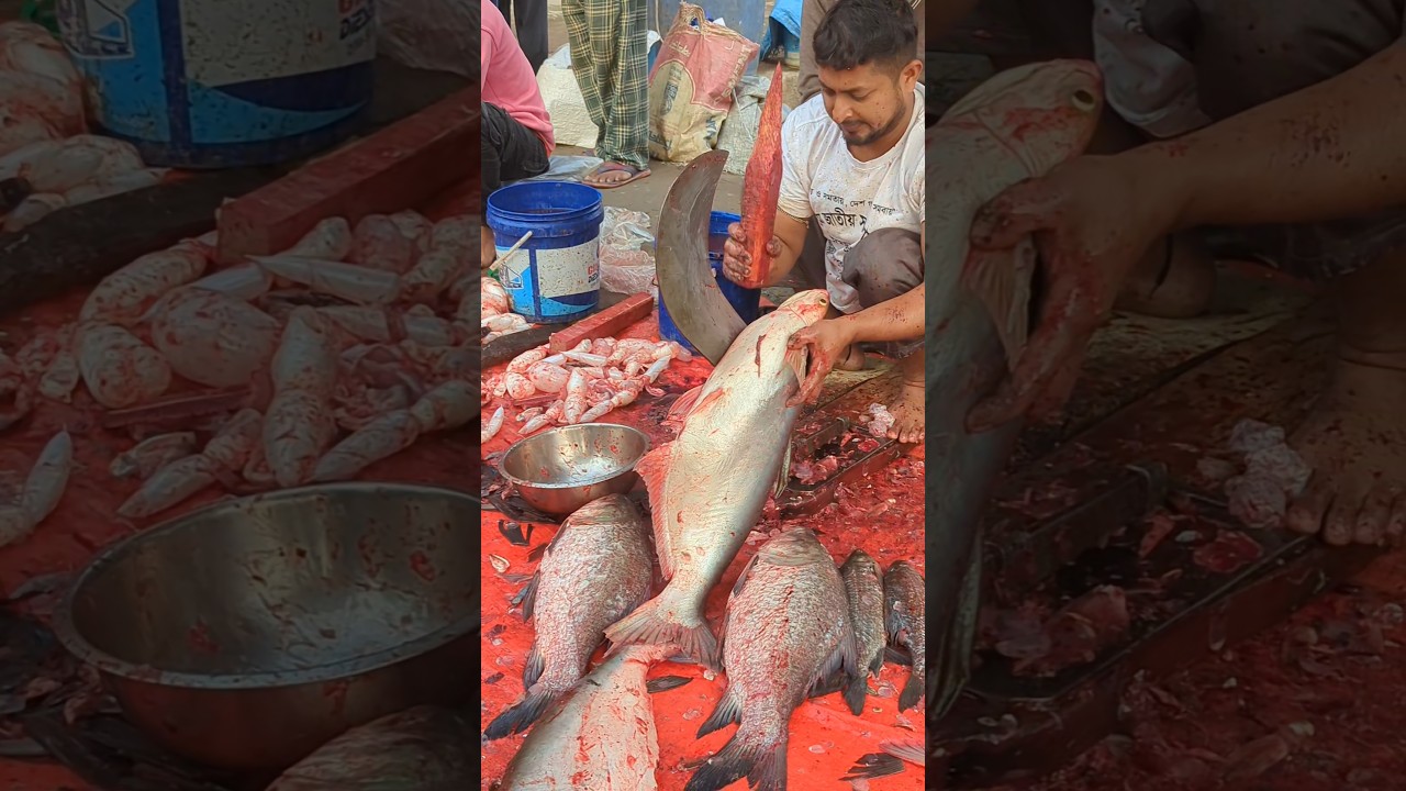 Excellent Village original Pangas fish cutting skills 