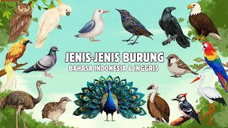 Belajar Mengenal Jenis-Jenis Burung dalam Bahasa Indonesia & Inggris (Birds) - Video Edukasi Anak