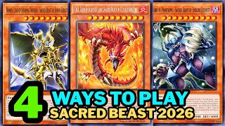 COMBOS SACRED BEAST (NEW SUPPORT BROKEN 2026)