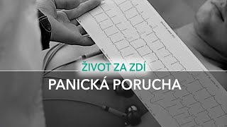 28. DÍL: PANICKÁ PORUCHA (PŘÍČINY, PROJEVY A ZVLÁDÁNÍ)