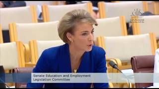 Michaelia Cash admits her staffer tipped off the media ahead of AFP raid on AWU