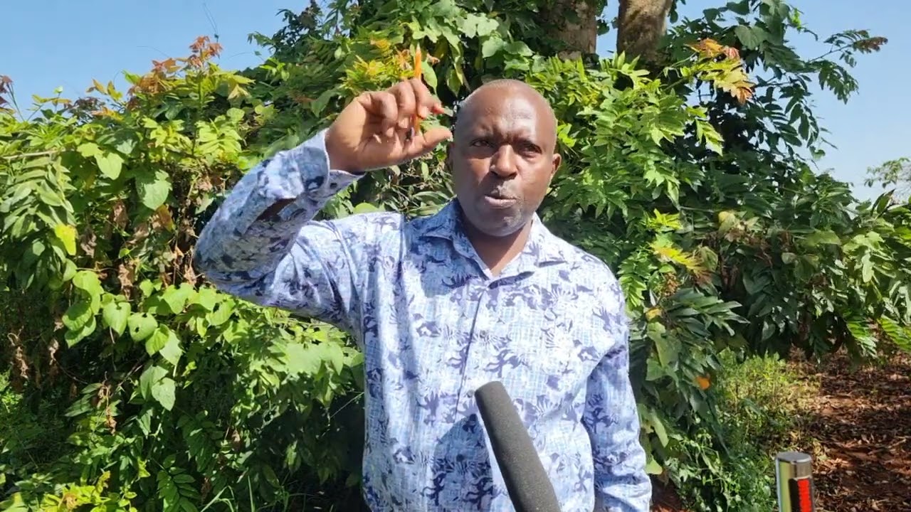 ûtukûndugagwo ûhoro