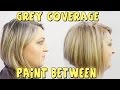 GREY COVERAGE PAINT BETWEEN TO BLOND COLOR CORRECTION