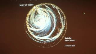Bernd H Kroplin - Conference on the Physics, Chemistry and Biology of Water 2015