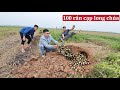 Video catching 100 most venomous snakes in the world by professional hunters