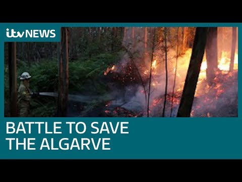 Wildfires spreading across Portugal’s Algarve region | ITV News