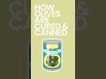 How Olives are Cured & Canned #shorts