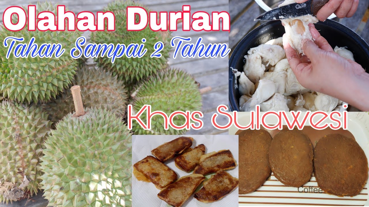 Olahan Durian Khas Sulawesi Bisa Awet Sampai 2 Tahun || Dampo' Durian