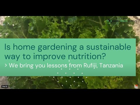 SPOTLIGHT   Is home gardening a sustainable way to improve nutrition