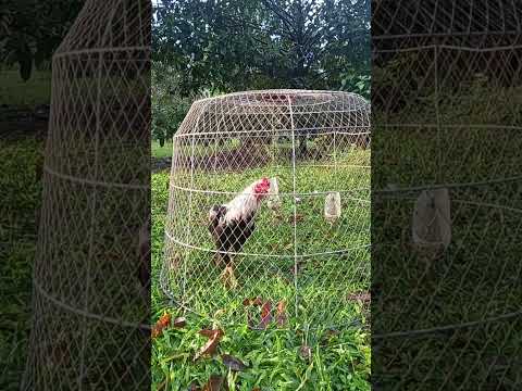 4 มกราคม ค.ศ. 2024 4 มกราคม ค.ศ. 2024