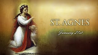 Wednesday Reflection: St. Agnes (21/01/2026)