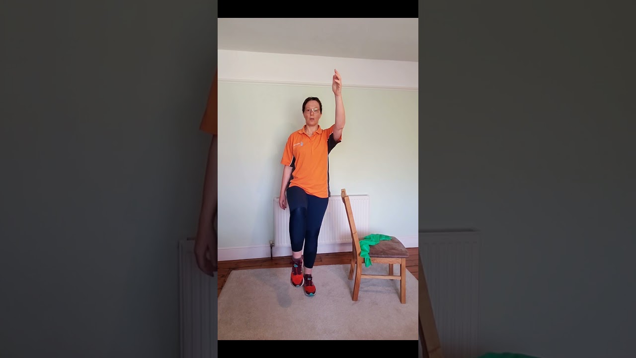 Flamingo Swing Balance exercise for older adults