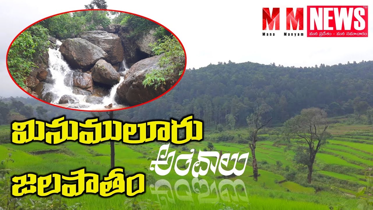 మినుములూరు జలపాతం అందాలు | ASR District | Paderu | Minumuluru | Mana Manyam NEWS