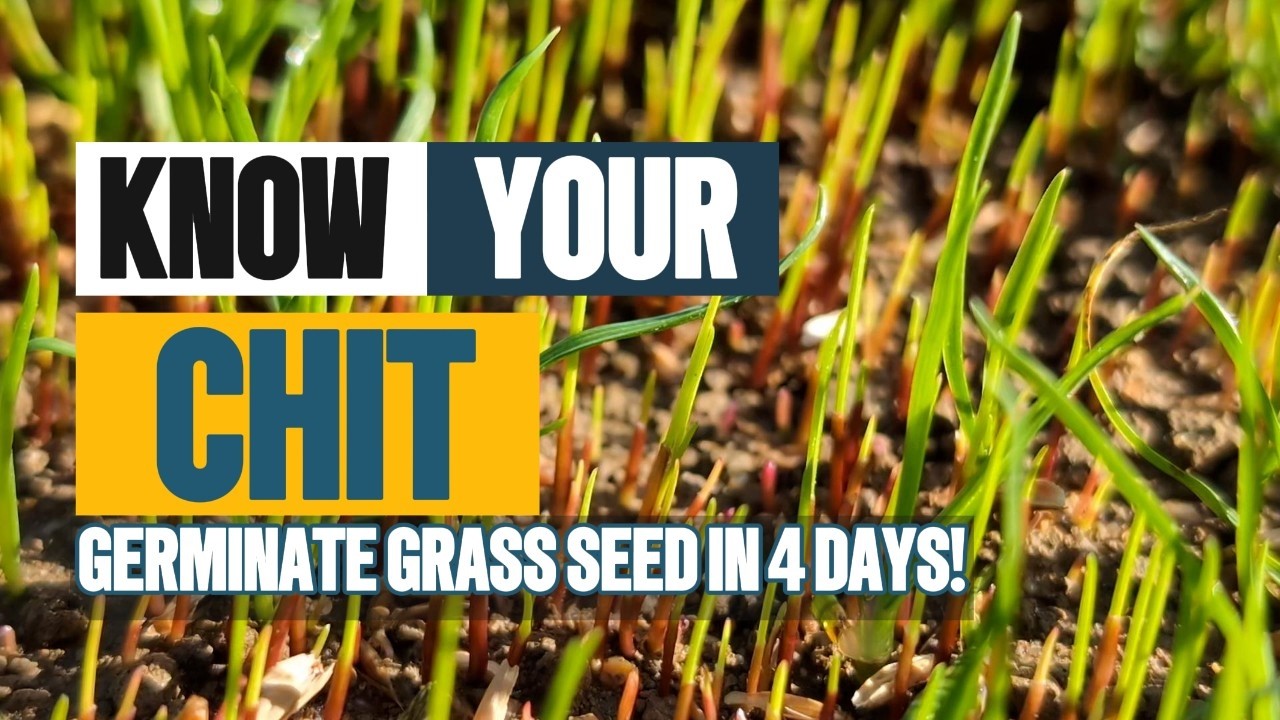 What is the best way to sow grass seed? - YouTube