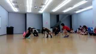 1031021 RED 6