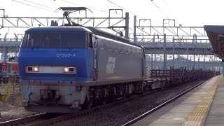 JR貨物 EF200-4 貨物列車 (8865レ EF200が代走 コキ,チキ) 稲沢駅 貨物線