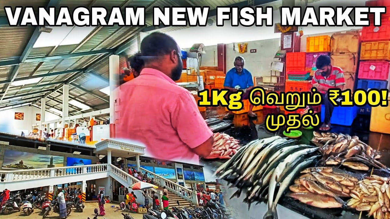 Chennai Cheapest Fish market Vanagram New Fish market Wholesale