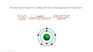 what is the average mass of a nitrogen atom