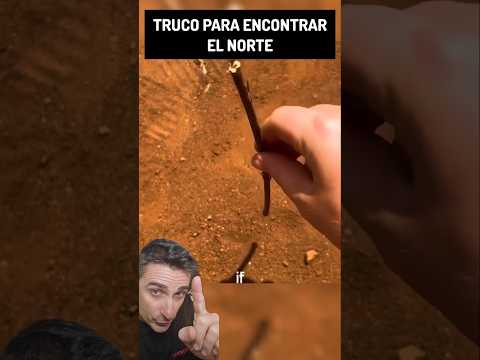 Truco para encontrar el norte.##supervivencia #curiosidades #sabiasque