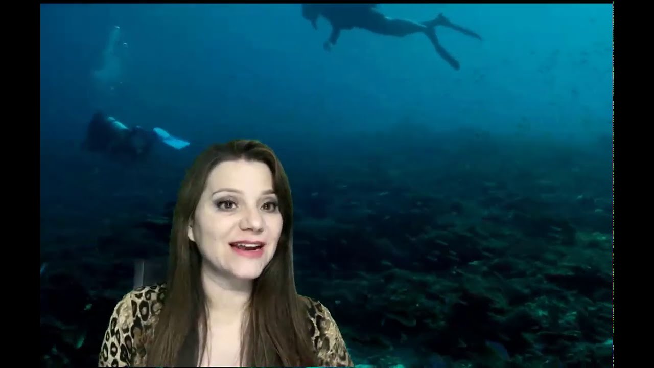 Los Arrecifes de Coral by Puerto Rico Sea Grant - Issuu, image size:1280x720