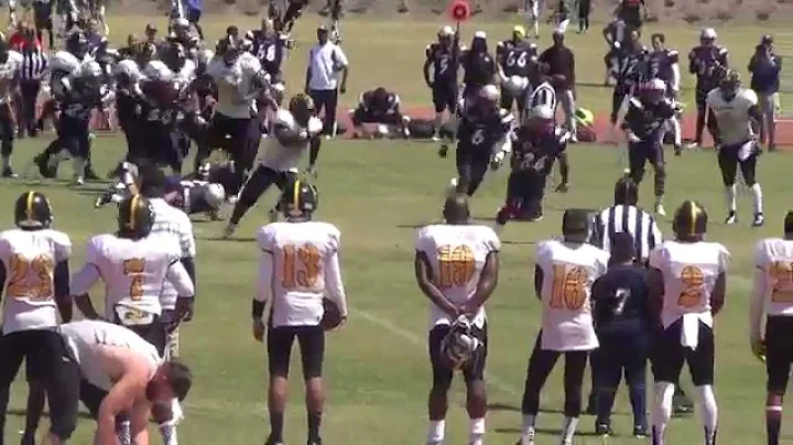 Erin Madden, RB #24 2014 Highlights