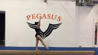 Front Scale (Beam)