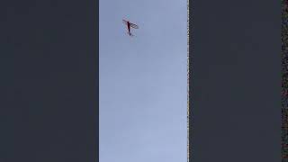 IMG 0278 1